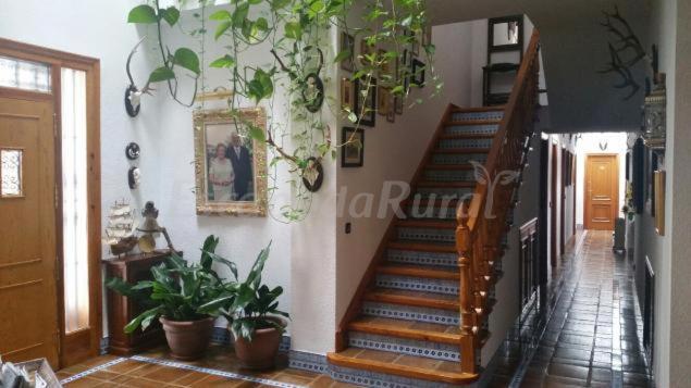 Finca Cerro Del Moro Albarreal de Tajo Экстерьер фото