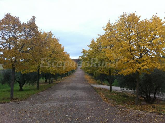 Finca Cerro Del Moro Albarreal de Tajo Экстерьер фото
