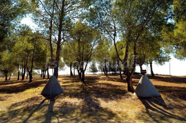Finca Cerro Del Moro Albarreal de Tajo Экстерьер фото
